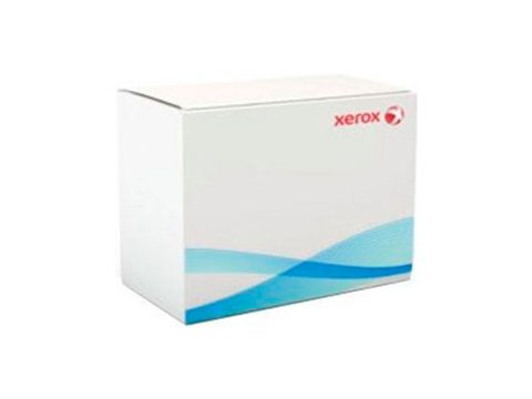 Лицензия ПО, Xerox, Workplace Suite 320S01119, включает 2 коннектора - позволяет активировать "Защищенную печать" и/или "Встроенный терминал + учет"