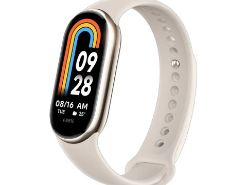 Фитнес браслет, Xiaomi, Mi Smart Band 9, M2345B1 / BHR8642GL, 1.62" AMOLED, Разрешение экрана 192 x 490, Аккумулятор 233 мАч, Водонепроницаемость 5 АТМ, Титаново-серый