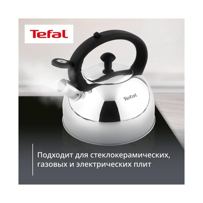 Чайник для плиты, Tefal, Wave, N4210217, 2.5 л