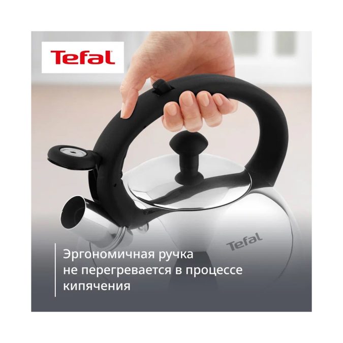 Чайник для плиты, Tefal, Wave, N4210217, 2.5 л